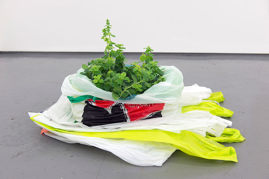 <b>Title: </b>Houses, towns or cities, monuments or factories<br /><b>Year: </b>2016<br /><b>Medium: </b>Oregano plant and plastic bags<br /><b>Size: </b>Dimensions variable