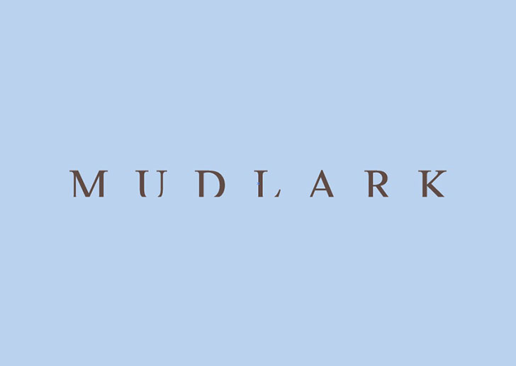 Mudlark